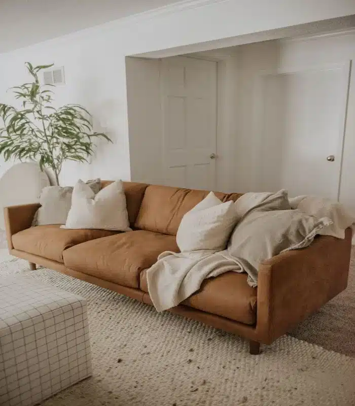 A best Brown Color Sofa Upholstery for your home