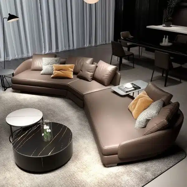 Unique Design Leather Sofa in Living room